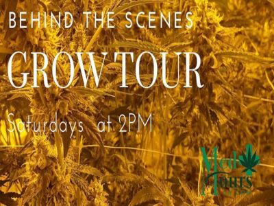 Grow Tour (Behind the Scenes Grow Tour + Dispensary)