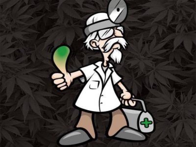 Doctor's Orders - Stem Beach