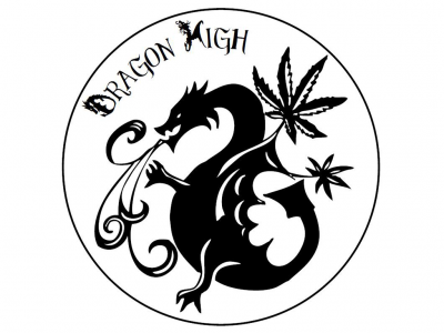 My Dragon High