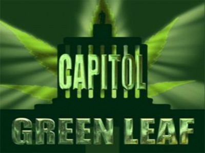 Capitol Green Leaf