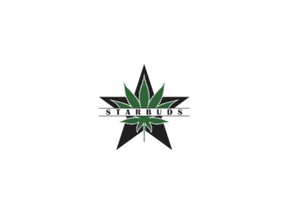 Starbuds - Aurora