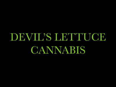 Devil's Lettuce Cannabis