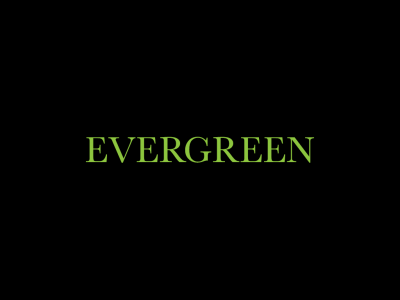 Evergreen