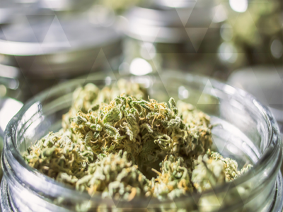 How to find your Ideal Cannabis Dose