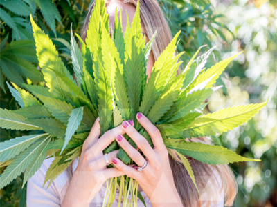 Women’s Health and Cannabis: What to rethink and replace in your medicine cabinet