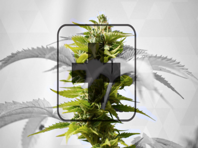 Understanding Cannabis Products