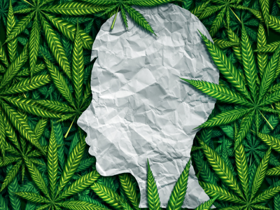 The Endocannabinoid System 101