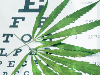 Cannabis For Glaucoma With The First Lady Of Medical Marijuana
