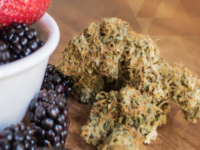 How nutrition impacts medical cannabis