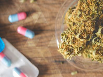 Addressing the Fears About Using Cannabis as Medicine